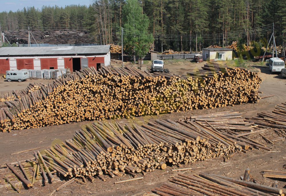 Round wood lumberyard